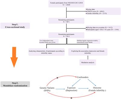 Obesity mediates the relationship between depression and infertility: insights from the NHANES 2013-2018 cross-sectional study and a Mendelian randomization study